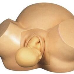 Vacuum Baby Delivery Model Advanced Midwifery Training For Nursing spancare