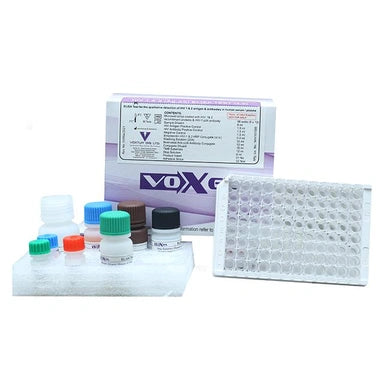 HIV Rapid Test Card Kit (10 Tests) | Voxtur Voxpress