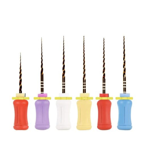 Endodontics Files Holder Pack of 1