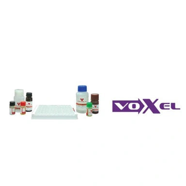 HIV 4th Gen Rapid Test – Voxtur Voxel HIV Rapid Card (96 Tests)