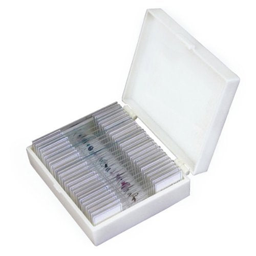 Slide Storage Box for 25 Slides spancare