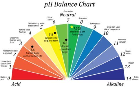 pH Meter,Portable Digital pH Meter (Hand Held) spancare