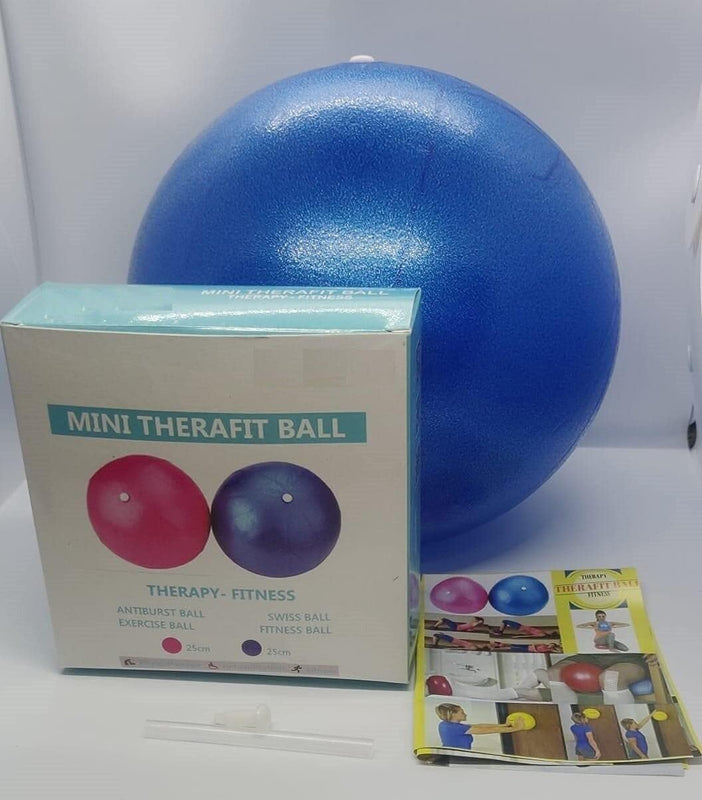Spancare PVC Mini Gym Ball, Size 25cm, (Blue) spancare
