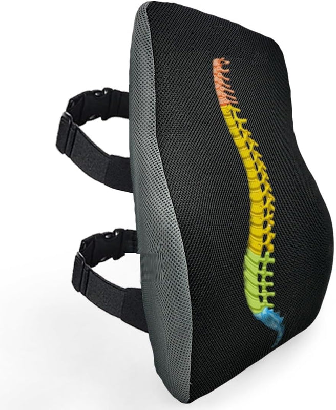 SPANCARE PHARMACEUTICALS Back Support for Chair & Car Seat- Premium Memory Foam Lumbar Cushion- Office and Driving Chair Back Rest for Back Pain Relief- Ergonomic Design for Posture Correction spancare