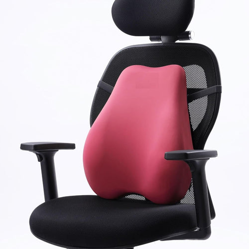 Backrest Cushion | High-Density Memory Foam | Premium Lumbar Support for Chairs | Durable Back Pillow for Office Chair & Home Use | Breathable & Machine-Washable Cover (Barbie Pink)