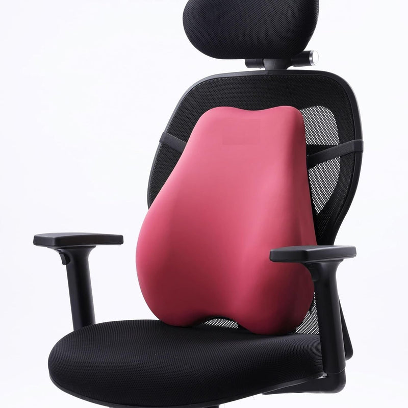 Backrest Cushion | High-Density Memory Foam | Premium Lumbar Support for Chairs | Durable Back Pillow for Office Chair & Home Use | Breathable & Machine-Washable Cover (Barbie Pink) spancare