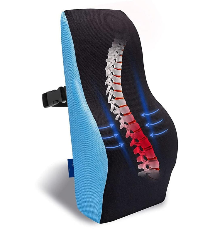 SPANCARE PHARMACEUTICALS Orthopaedic Lumbar Support Back Rest for Chair Car/Back Support Pillow (Blue) spancare